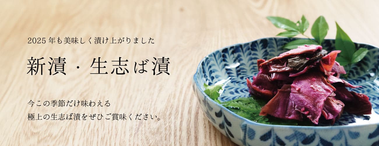 top-namashiba-01.jpg