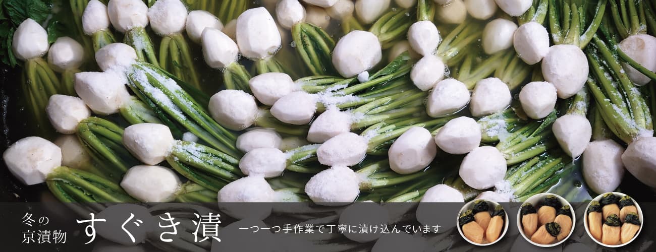 sugukitop.jpg